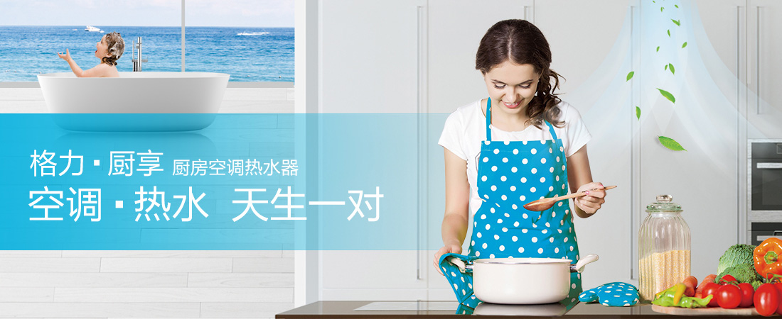 格力厨享厨房空调热水器|家用热水器-上海谷冬实业有限公司